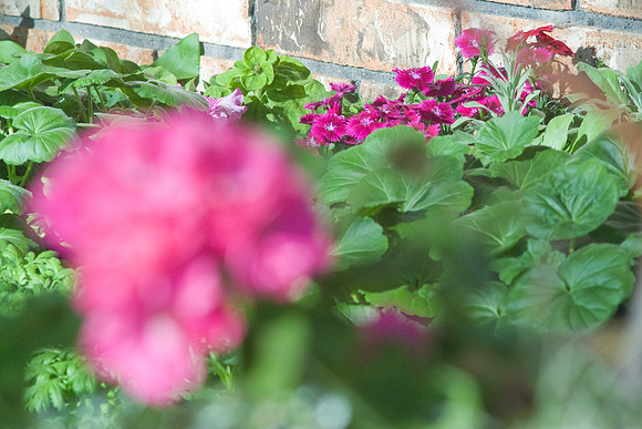 DSC02274