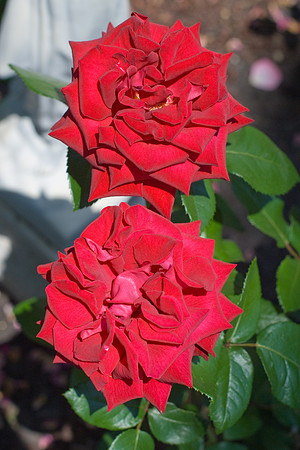 DSC03777
