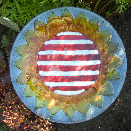 DSCF1663