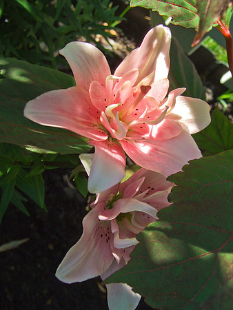DSCF1670