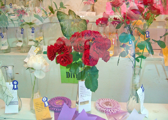 Beth's Roses