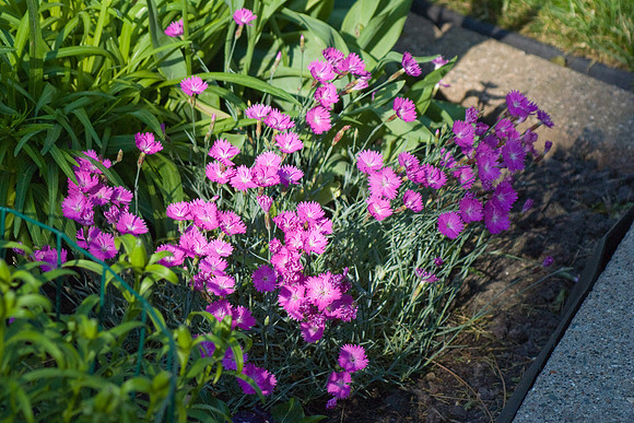 DSC03165