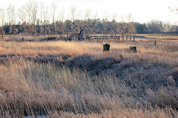 Site Of Old Elevators
