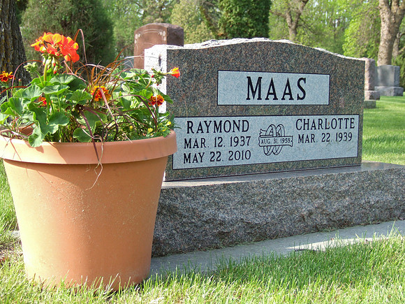 Memorial Day Flowers