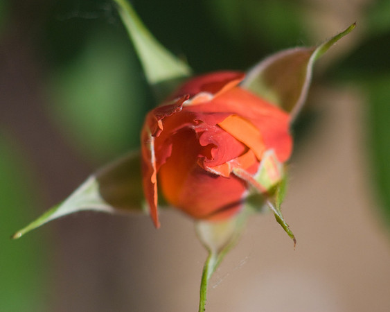 DSC03680