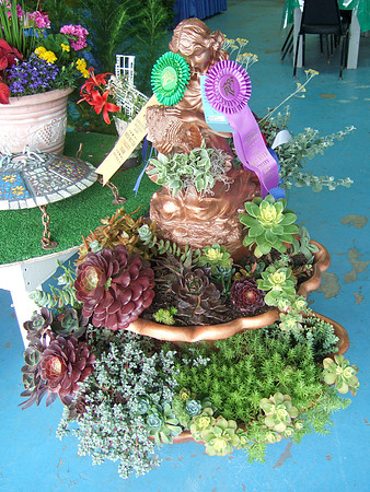 Nancy's Succulents