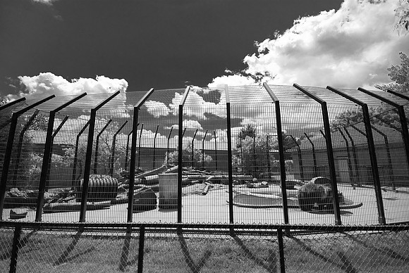 Bear Habitat