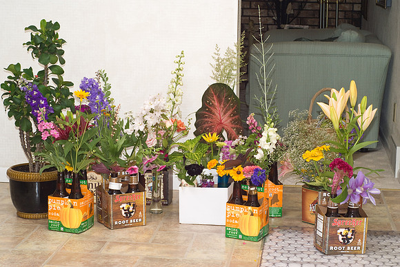 RRVF Flower Entries