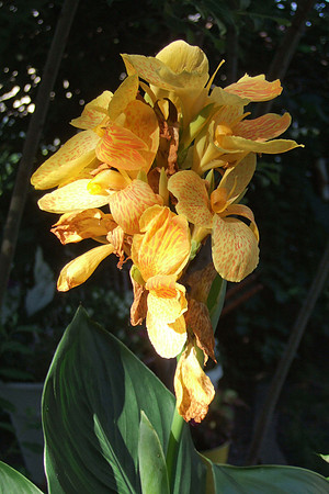 DSCF1650