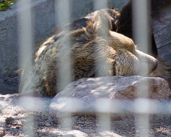 DSC01336