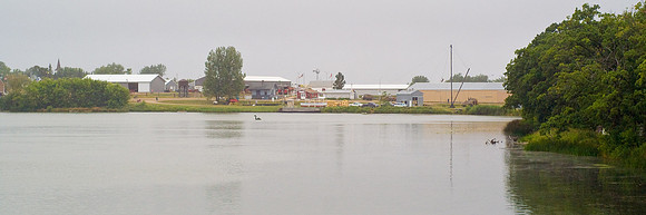 DSC05994