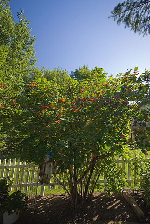 DSC07013