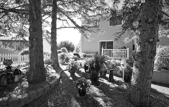 DSC07014