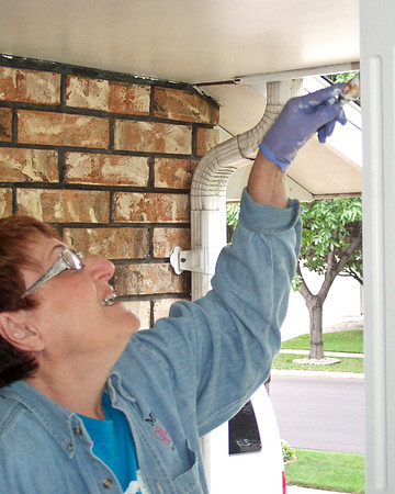 Pillar Painter