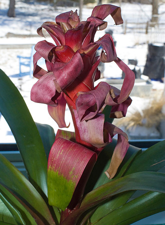 DSC00143a