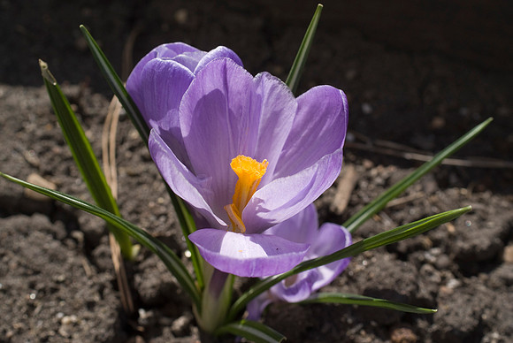DSC00150a