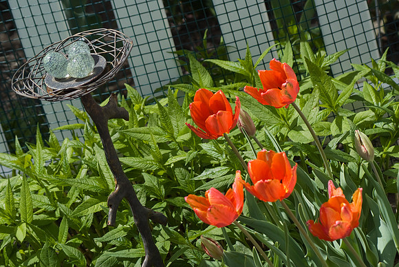 DSC00200