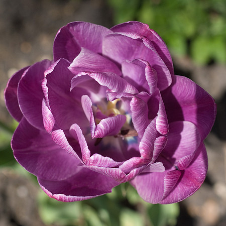 DSC00208