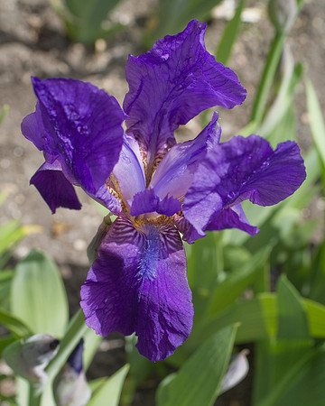 DSC00221