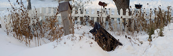 Winter Garden