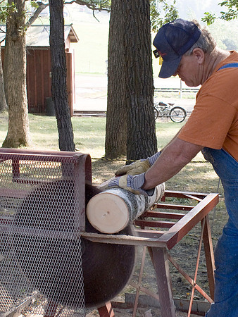 Cutting Birch Logs
