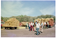 05 haystack