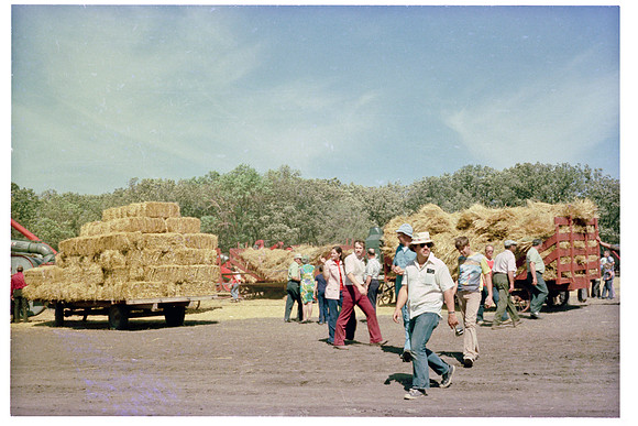 05 haystack