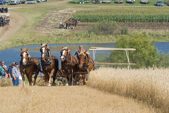 Grain Binder Team Comes Up The Hill