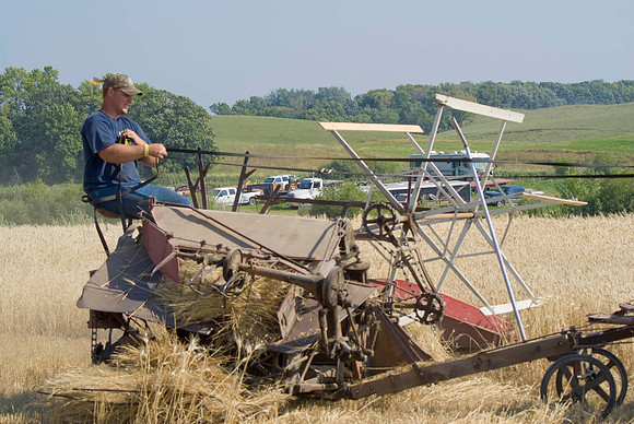 Grain Binder In Action