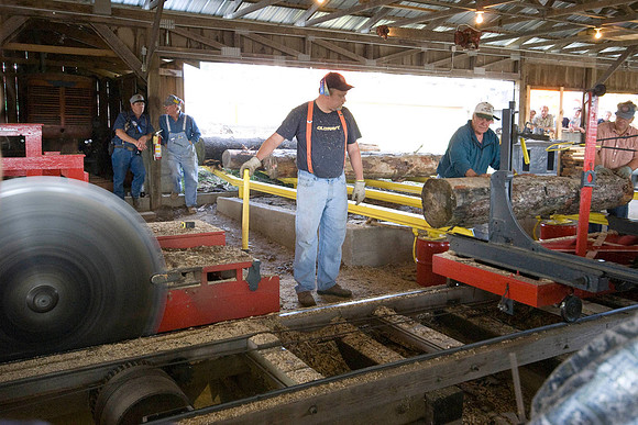 Cutting Logs In The Mill