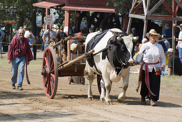 Ox Cart
