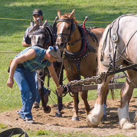 Checking The Chains