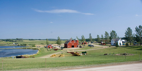 Rollag Horse Farm
