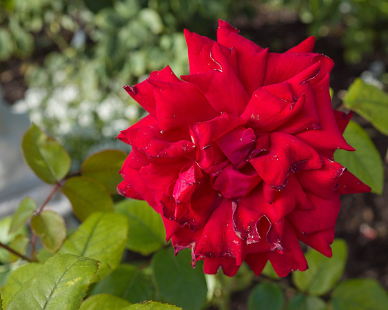 0920 dsc00014a