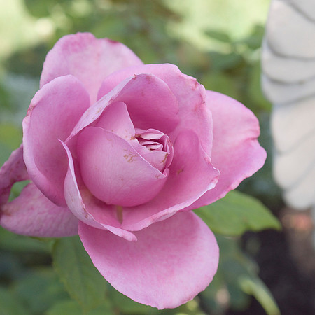 0920 dsc00017a