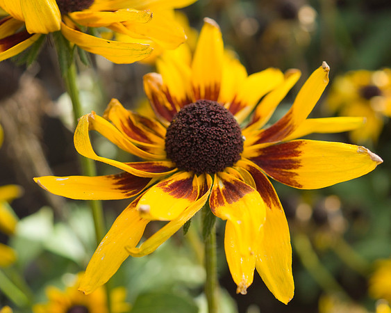 0920 dsc00028a