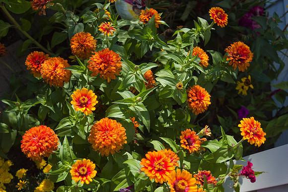 0920 dsc00029a