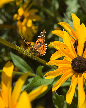 0920 dsc00036a