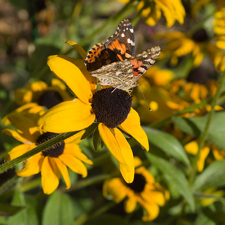 0920 dsc00044a
