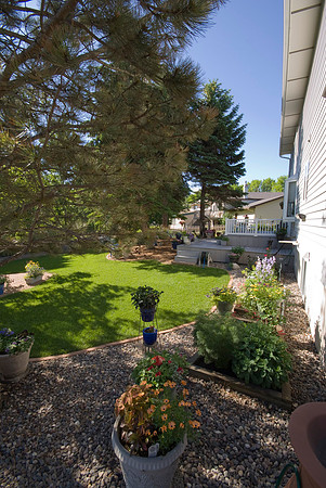 Against The Backyard Foundation
