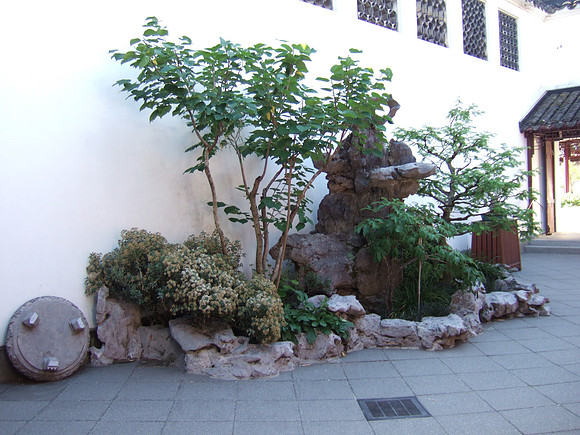 DSCF0012