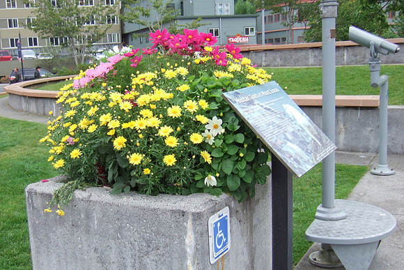 DSCF0044a