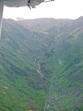 DSCF0081a