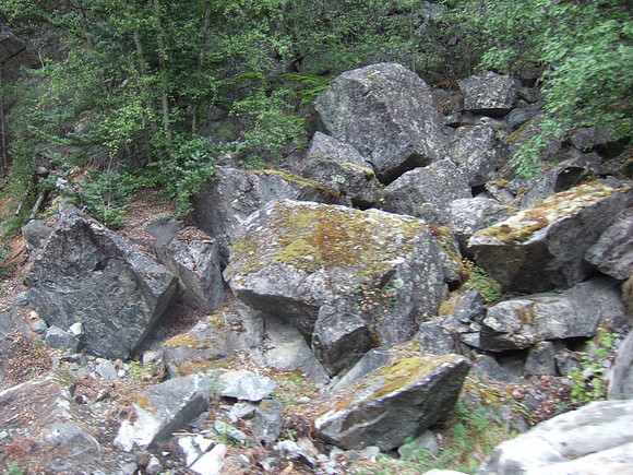 DSCF0094