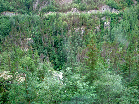 DSCF0107a