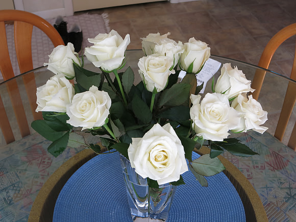 White On Blue