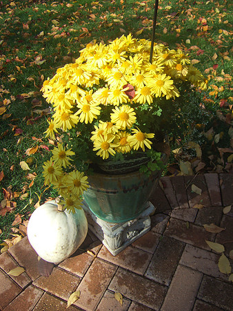 DSCF2647a