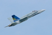 2007 0616a395