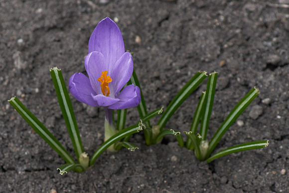 2023 0428 002