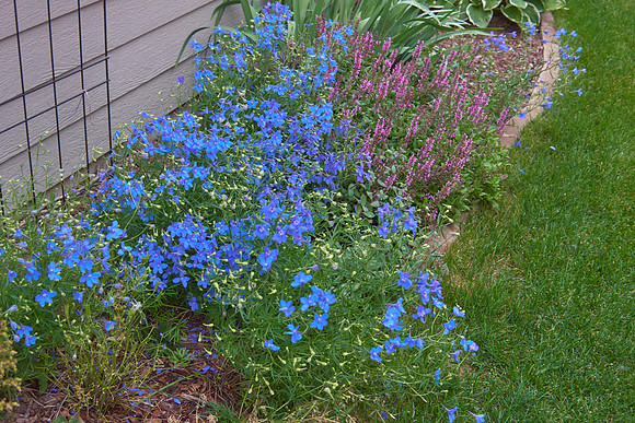 2023 0703 004